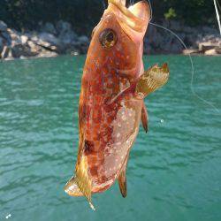 秋の長雨の合間に・・・