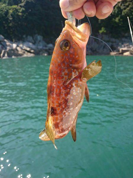 秋の長雨の合間に・・・