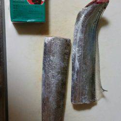 太刀魚、マイワシ、サヨリGET！！