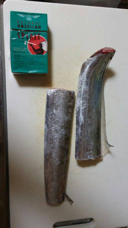 太刀魚、マイワシ、サヨリGET！！