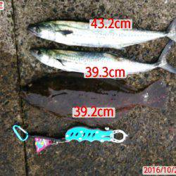 スーパーライトショアジギング