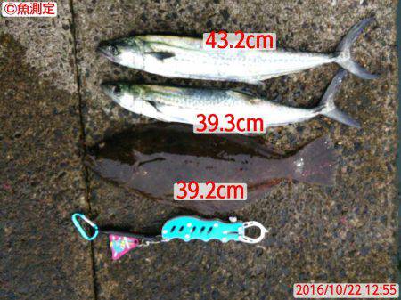 スーパーライトショアジギング