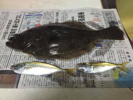 風が強すぎて‼