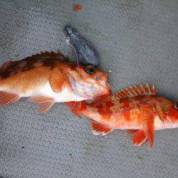 クーラー満タン