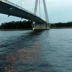 チーバスと夕涼み