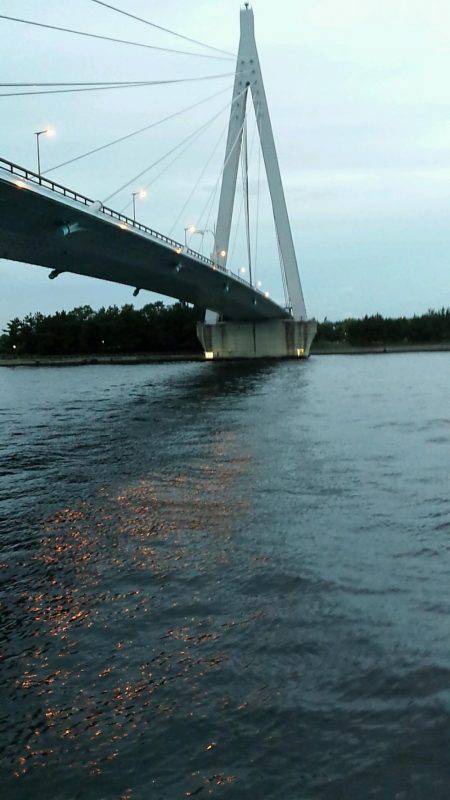 チーバスと夕涼み