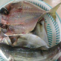 午後からセイゴちゃんと♪