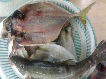 午後からセイゴちゃんと♪