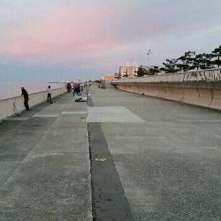 大蔵海岸朝マズメ。タチウオ堅調でした。