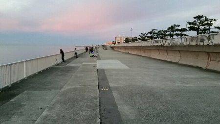 大蔵海岸朝マズメ。タチウオ堅調でした。