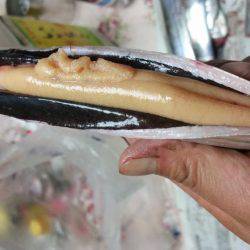 ﾃﾝﾔ引き釣り