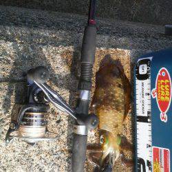 なめてました。