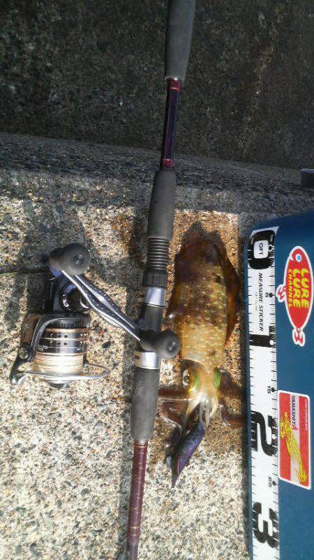 なめてました。