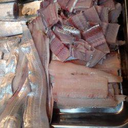 ワインド　ルミノーバ好調❗