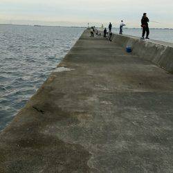 西宮ケーソン　タチウオ不発もサゴシ一発