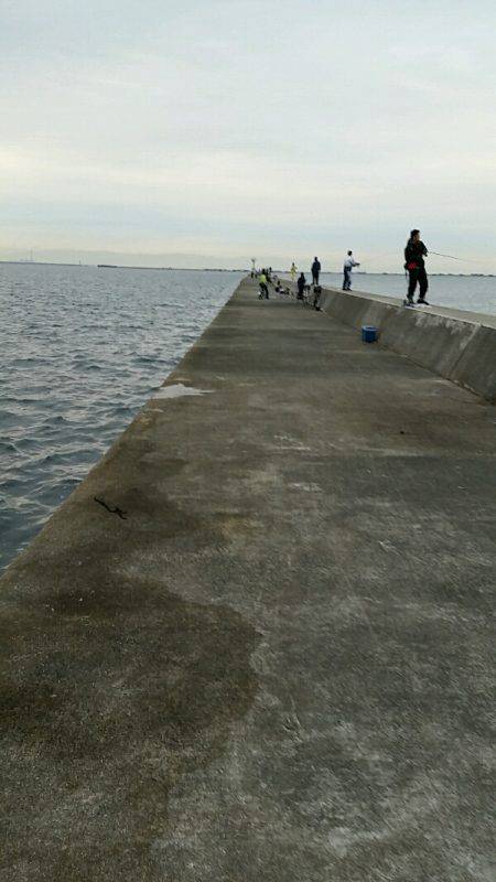 西宮ケーソン　タチウオ不発もサゴシ一発