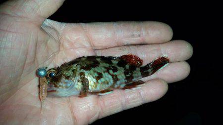 タチウオに行きました!!が…