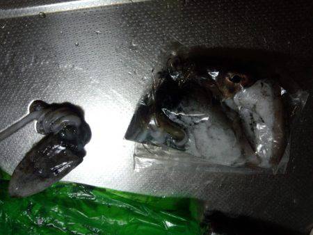 台風後何が釣れるか？