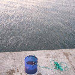 姫路にもようやく、タッチーきてます。