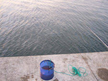 姫路にもようやく、タッチーきてます。