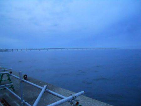 早朝～ウキ釣りでタチウオ