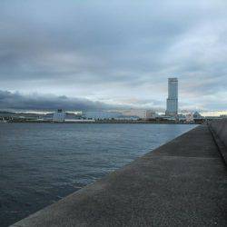 早朝～ウキ釣りでタチウオ狙い