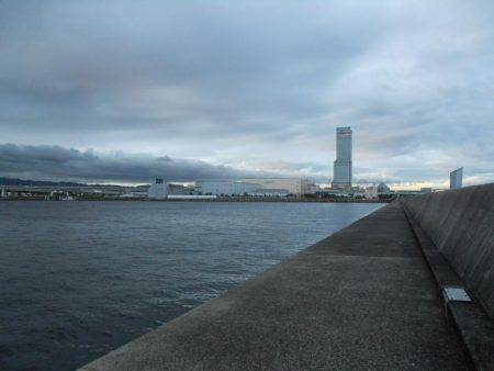 早朝～ウキ釣りでタチウオ狙い