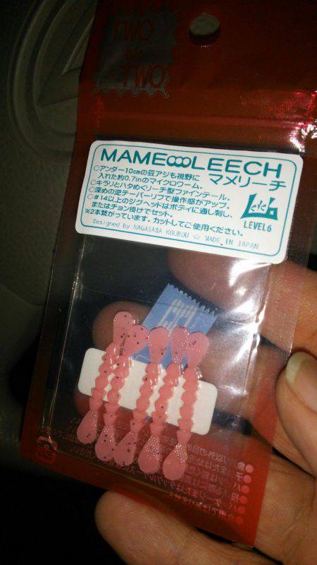 久しぶりにホームで