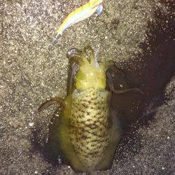 ファミリー刀狩り