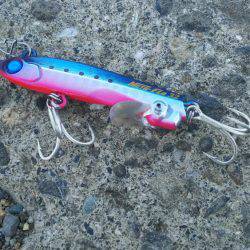 サーベルフィッシュ