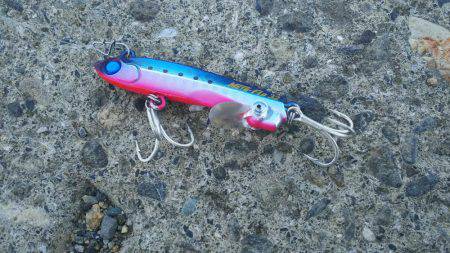 サーベルフィッシュ