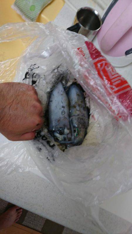 サイトエギング