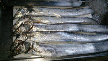 渋いながらもバクチョウ