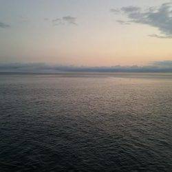 ショアジギング撃沈 エギングも渋いけども・・・