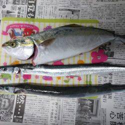 リベンジ達成！