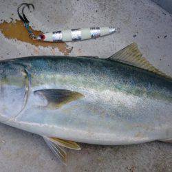 アルバトロスで爆釣❗