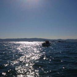 明石魚英でジギング