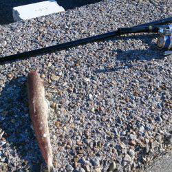 なめたらあかん♪