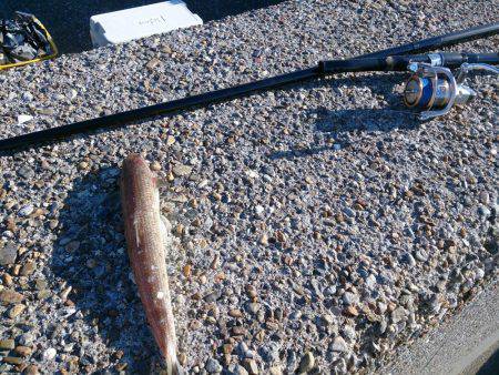 なめたらあかん♪