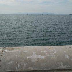 ポケモンGoの人々だらけ