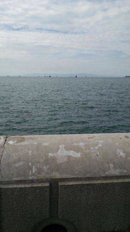 ポケモンGoの人々だらけ