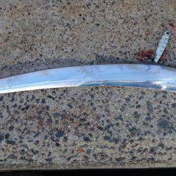 太刀魚釣り　淡路は空いてます