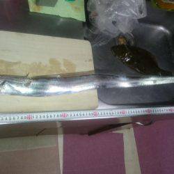 アングラーは僕達だけ！