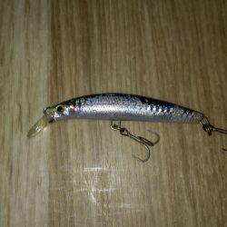 ブリ族は何処へ?