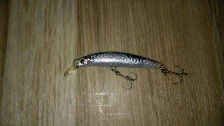 ブリ族は何処へ?