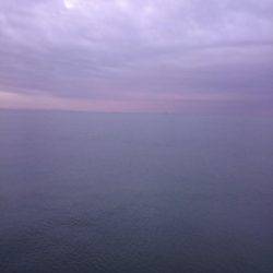 サゴシ激渋(>_<)