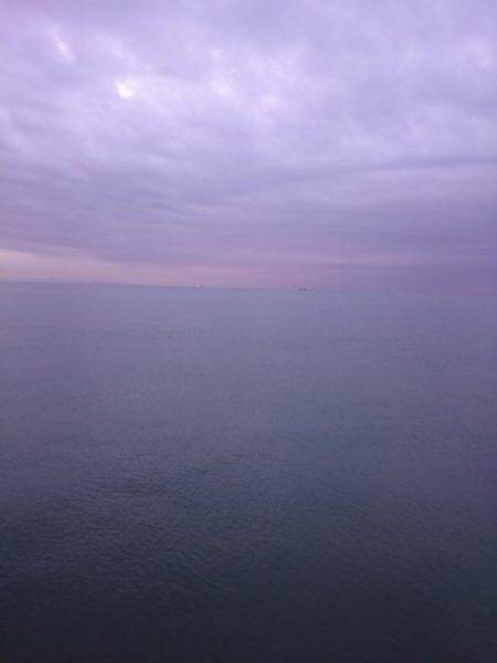 サゴシ激渋(>_<)