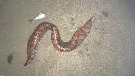 久しぶりキロアップ