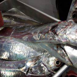 2週振りのリベンジ