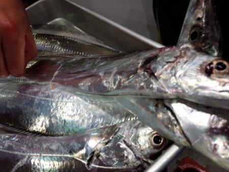 2週振りのリベンジ